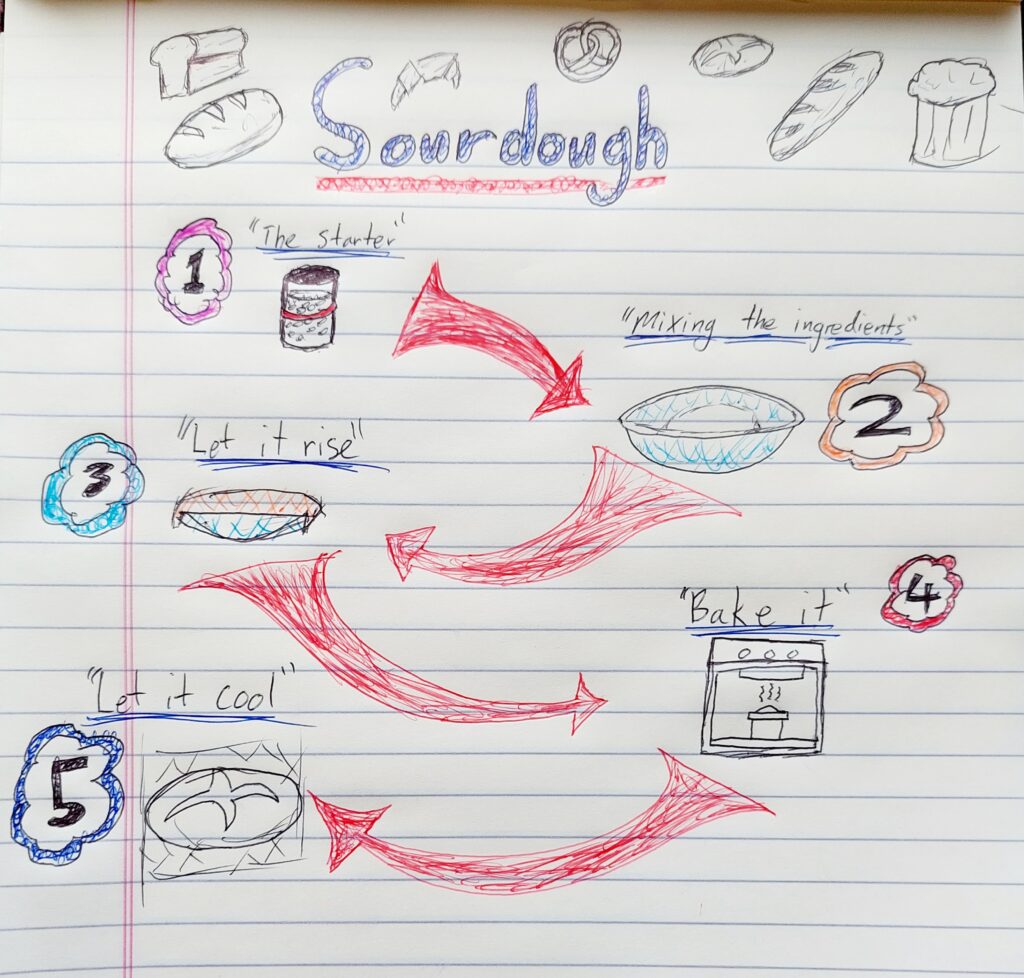 A sketchnote drawing form the process of making sourdough bread